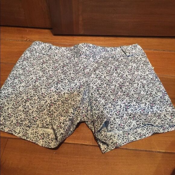 J.Crew shorts size 4  - Picture 1 of 5